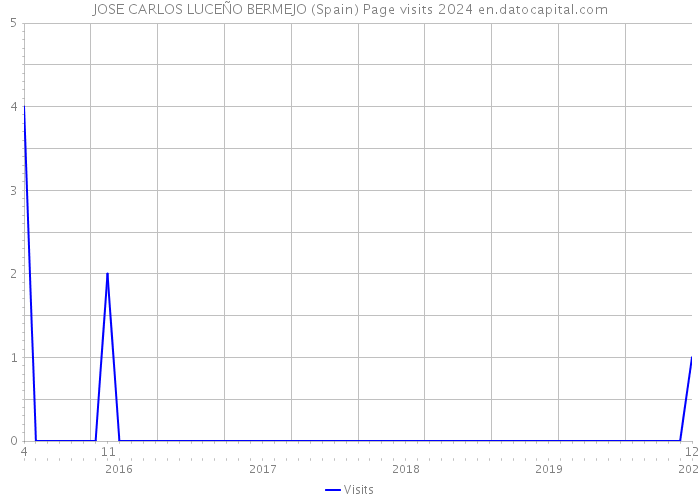 JOSE CARLOS LUCEÑO BERMEJO (Spain) Page visits 2024 