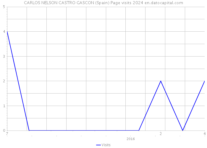 CARLOS NELSON CASTRO GASCON (Spain) Page visits 2024 