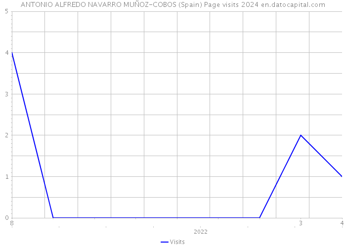 ANTONIO ALFREDO NAVARRO MUÑOZ-COBOS (Spain) Page visits 2024 