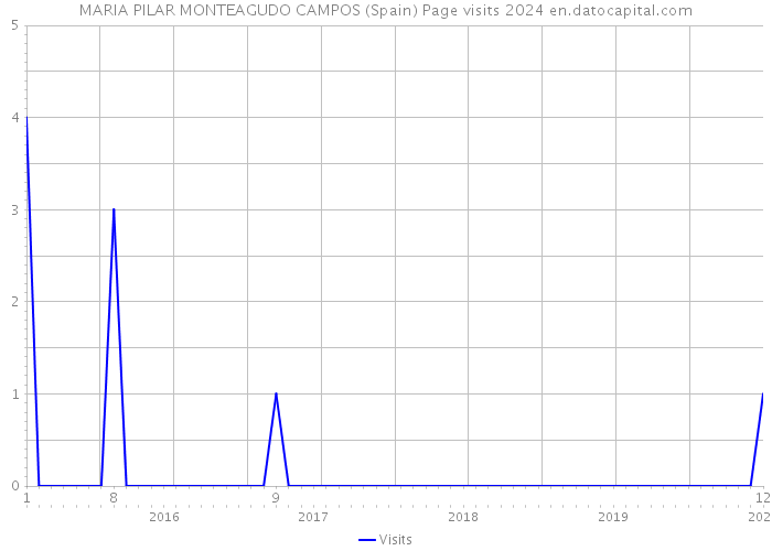 MARIA PILAR MONTEAGUDO CAMPOS (Spain) Page visits 2024 