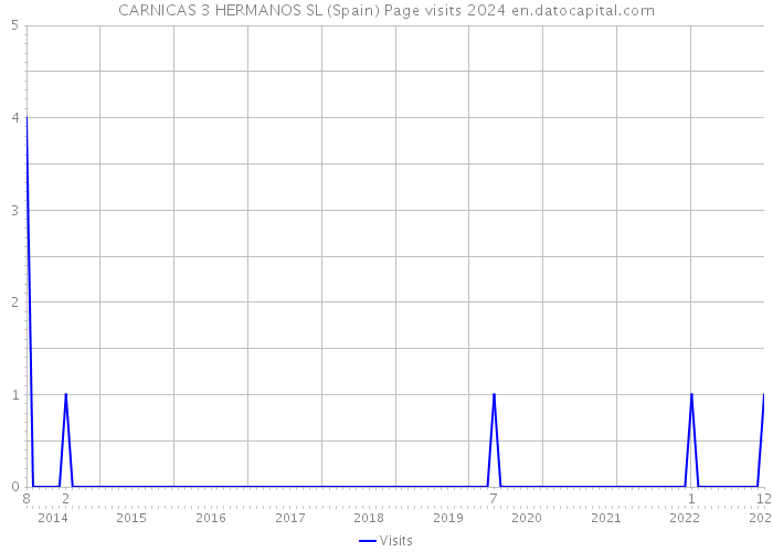 CARNICAS 3 HERMANOS SL (Spain) Page visits 2024 