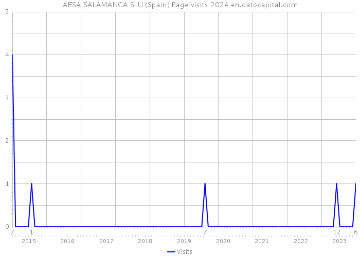 AESA SALAMANCA SLU (Spain) Page visits 2024 