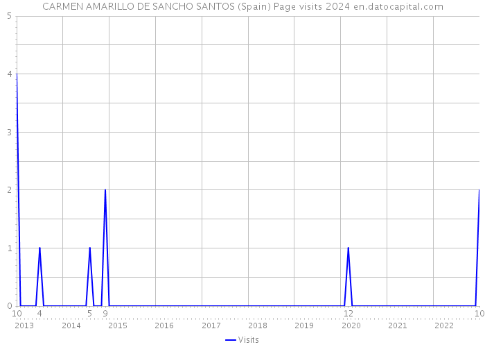 CARMEN AMARILLO DE SANCHO SANTOS (Spain) Page visits 2024 