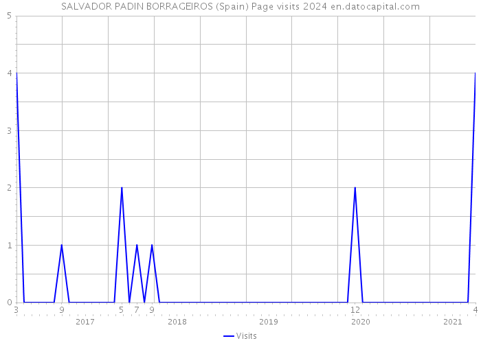 SALVADOR PADIN BORRAGEIROS (Spain) Page visits 2024 