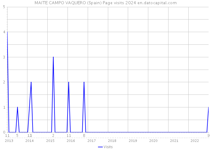 MAITE CAMPO VAQUERO (Spain) Page visits 2024 