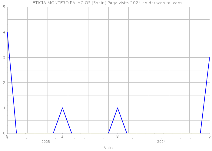 LETICIA MONTERO PALACIOS (Spain) Page visits 2024 