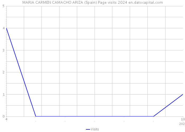 MARIA CARMEN CAMACHO ARIZA (Spain) Page visits 2024 