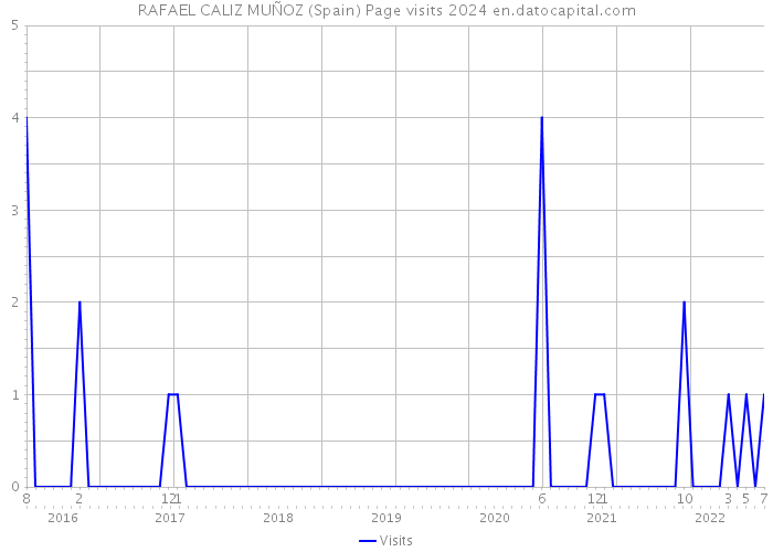 RAFAEL CALIZ MUÑOZ (Spain) Page visits 2024 