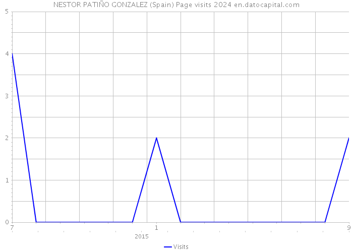 NESTOR PATIÑO GONZALEZ (Spain) Page visits 2024 