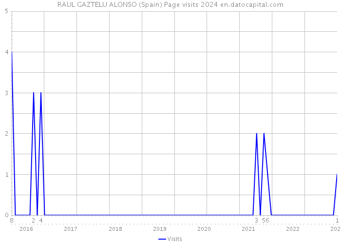 RAUL GAZTELU ALONSO (Spain) Page visits 2024 