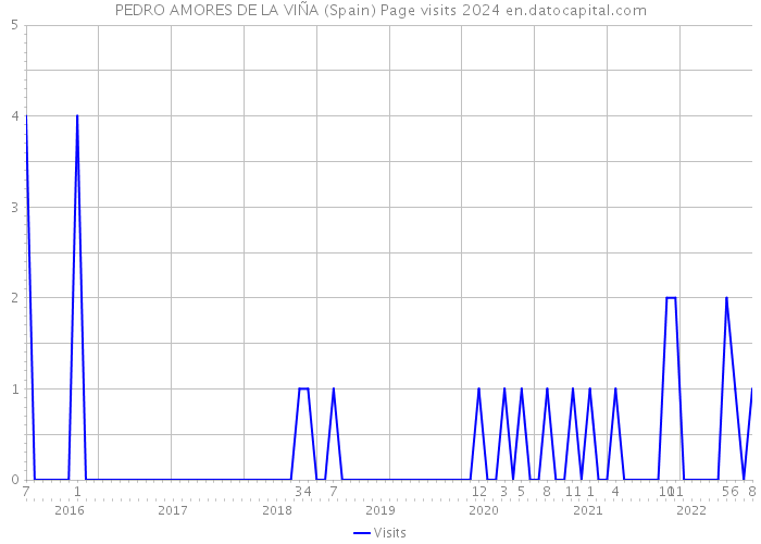 PEDRO AMORES DE LA VIÑA (Spain) Page visits 2024 