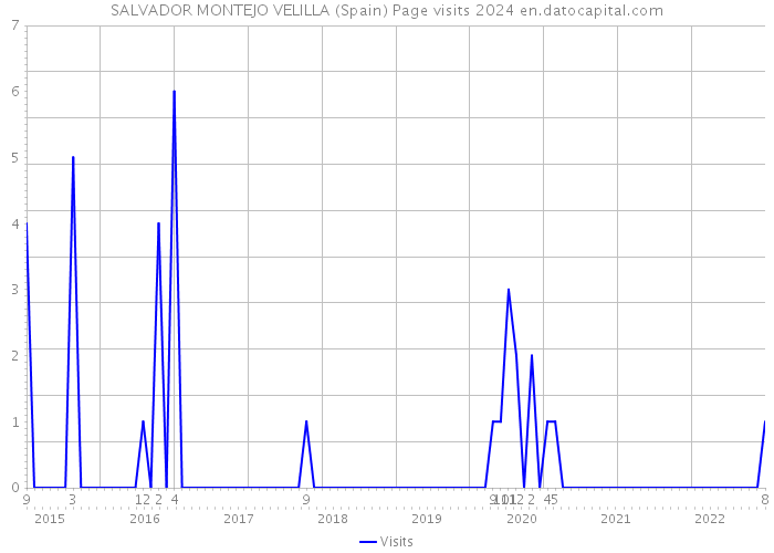 SALVADOR MONTEJO VELILLA (Spain) Page visits 2024 