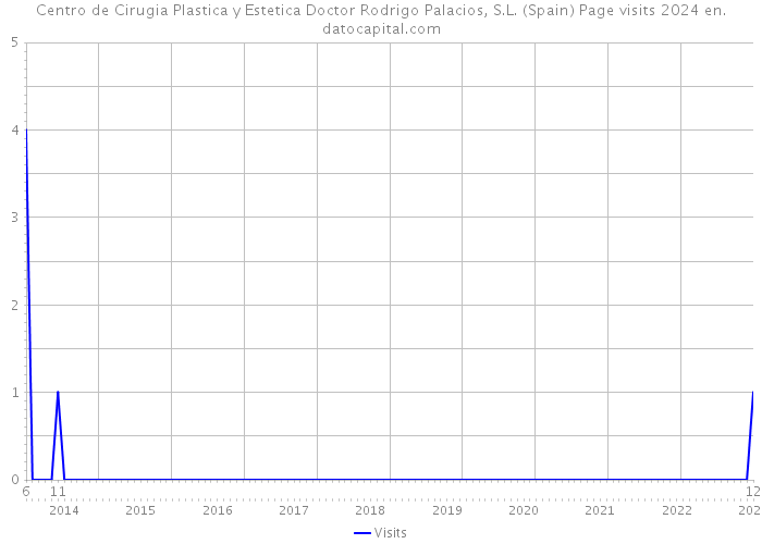 Centro de Cirugia Plastica y Estetica Doctor Rodrigo Palacios, S.L. (Spain) Page visits 2024 