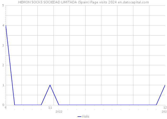 HEMON SOCKS SOCIEDAD LIMITADA (Spain) Page visits 2024 