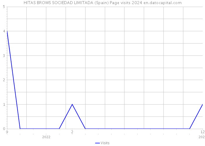 HITAS BROWS SOCIEDAD LIMITADA (Spain) Page visits 2024 