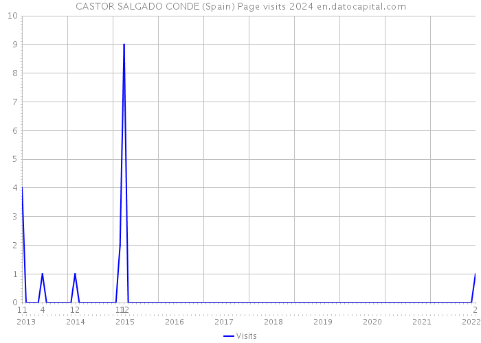 CASTOR SALGADO CONDE (Spain) Page visits 2024 