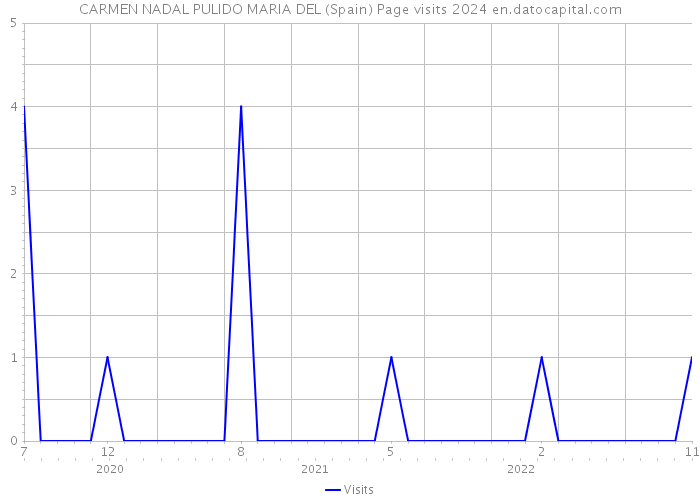 CARMEN NADAL PULIDO MARIA DEL (Spain) Page visits 2024 