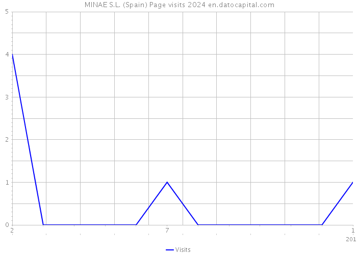  MINAE S.L. (Spain) Page visits 2024 