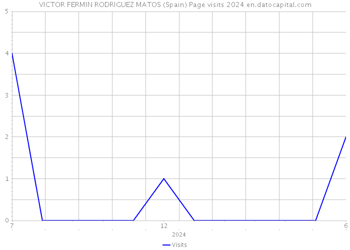 VICTOR FERMIN RODRIGUEZ MATOS (Spain) Page visits 2024 