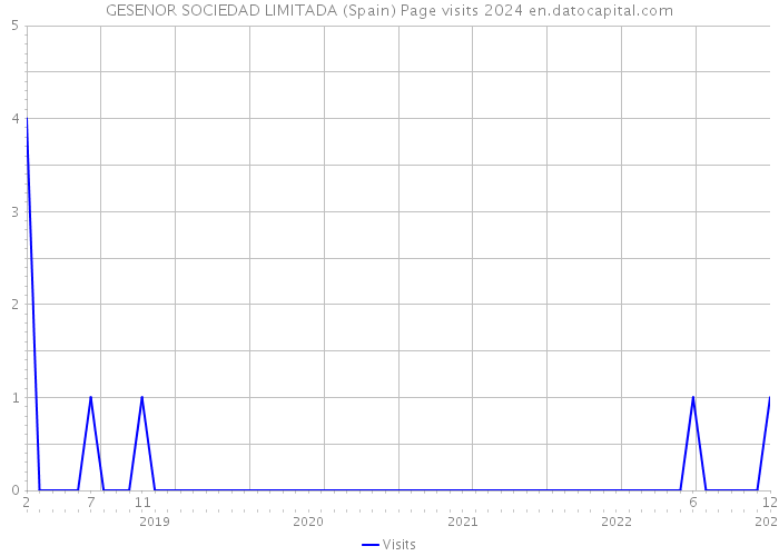 GESENOR SOCIEDAD LIMITADA (Spain) Page visits 2024 