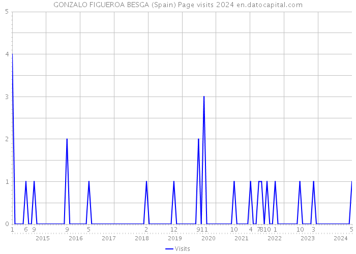 GONZALO FIGUEROA BESGA (Spain) Page visits 2024 