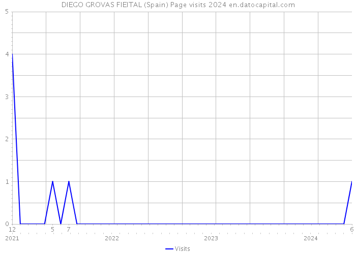 DIEGO GROVAS FIEITAL (Spain) Page visits 2024 