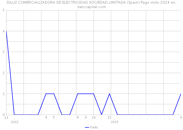 DILUZ COMERCIALIZADORA DE ELECTRICIDAD SOCIEDAD LIMITADA (Spain) Page visits 2024 