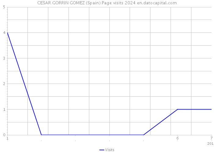 CESAR GORRIN GOMEZ (Spain) Page visits 2024 