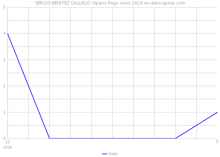 SERGIO BENITEZ GALLEGO (Spain) Page visits 2024 