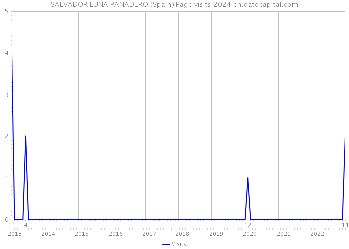 SALVADOR LUNA PANADERO (Spain) Page visits 2024 