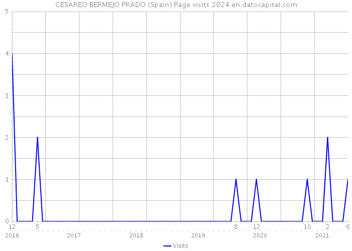 CESAREO BERMEJO PRADO (Spain) Page visits 2024 