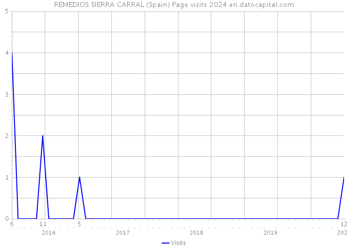 REMEDIOS SIERRA CARRAL (Spain) Page visits 2024 