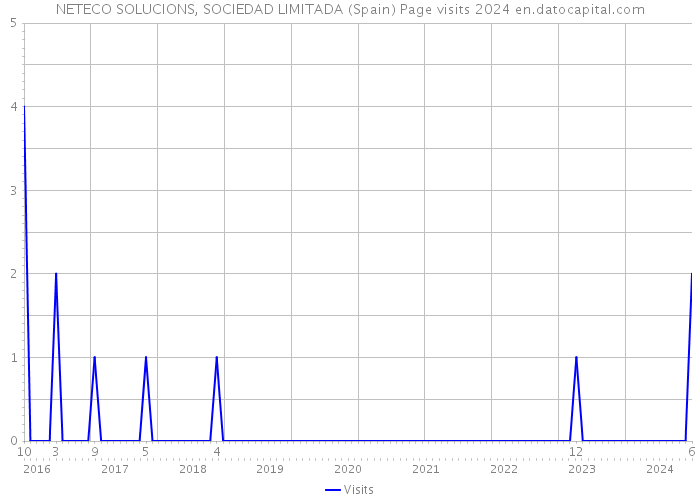 NETECO SOLUCIONS, SOCIEDAD LIMITADA (Spain) Page visits 2024 