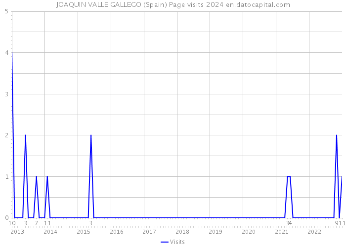 JOAQUIN VALLE GALLEGO (Spain) Page visits 2024 