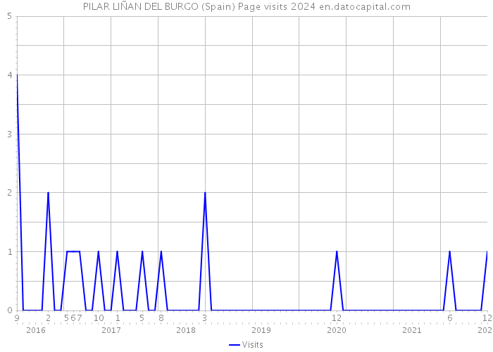 PILAR LIÑAN DEL BURGO (Spain) Page visits 2024 