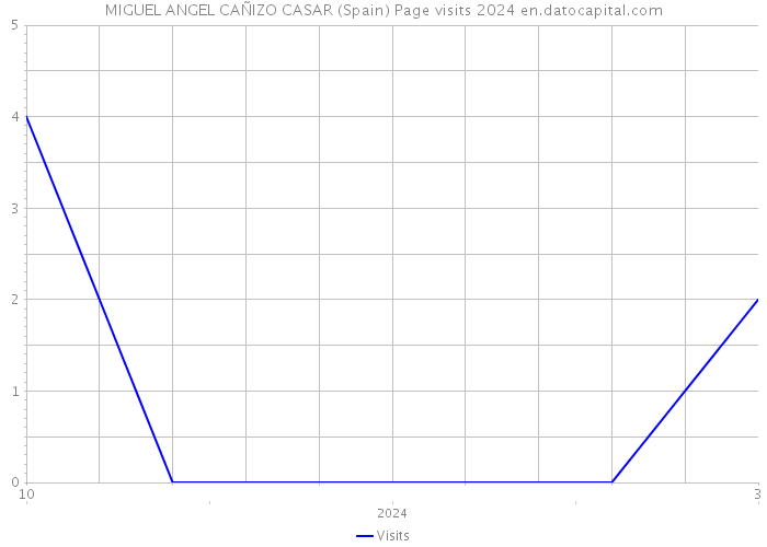 MIGUEL ANGEL CAÑIZO CASAR (Spain) Page visits 2024 