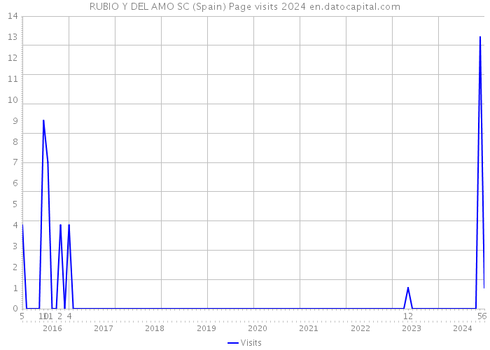 RUBIO Y DEL AMO SC (Spain) Page visits 2024 