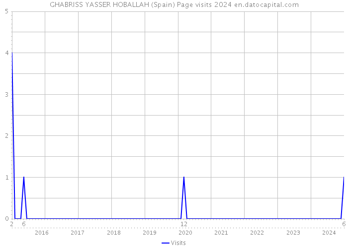 GHABRISS YASSER HOBALLAH (Spain) Page visits 2024 