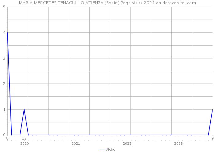 MARIA MERCEDES TENAGUILLO ATIENZA (Spain) Page visits 2024 