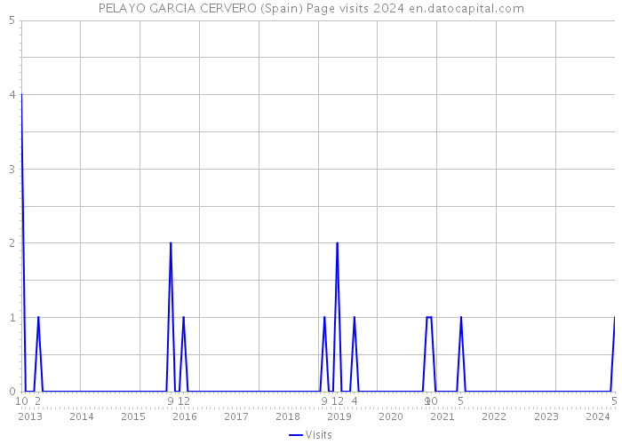 PELAYO GARCIA CERVERO (Spain) Page visits 2024 