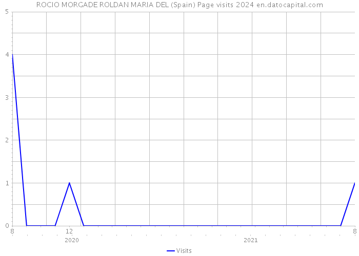 ROCIO MORGADE ROLDAN MARIA DEL (Spain) Page visits 2024 