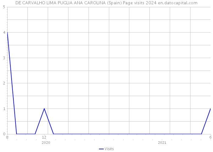 DE CARVALHO LIMA PUGLIA ANA CAROLINA (Spain) Page visits 2024 