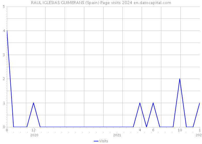 RAUL IGLESIAS GUIMERANS (Spain) Page visits 2024 