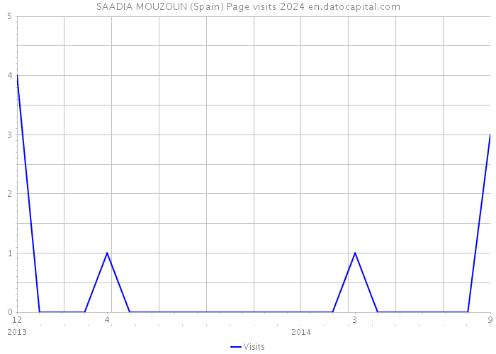 SAADIA MOUZOUN (Spain) Page visits 2024 