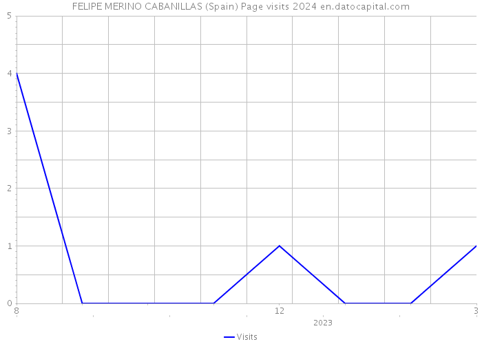 FELIPE MERINO CABANILLAS (Spain) Page visits 2024 