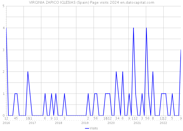 VIRGINIA ZAPICO IGLESIAS (Spain) Page visits 2024 