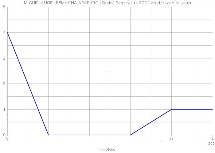 MIGUEL ANGEL REMACHA APARICIO (Spain) Page visits 2024 