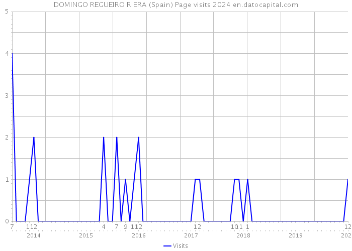 DOMINGO REGUEIRO RIERA (Spain) Page visits 2024 