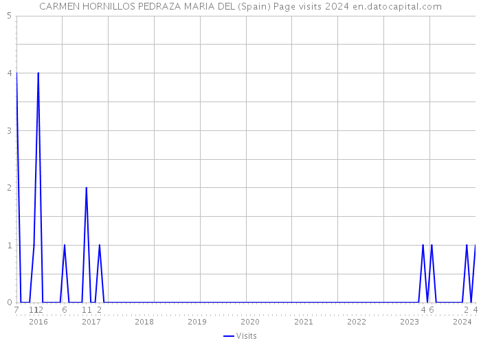 CARMEN HORNILLOS PEDRAZA MARIA DEL (Spain) Page visits 2024 