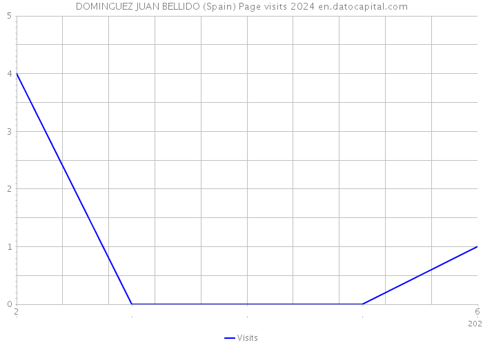 DOMINGUEZ JUAN BELLIDO (Spain) Page visits 2024 